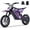 Purple, variant on Aoemoe Motorcycle, Motorized Dirt Bikes for kids 8-14, 36V 500W – 15 MPH Top Speed, Dual Suspension, Blue