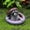 multicolor_Free Size, variant on YOHAVEN Raccoon Garden Statue Under Manhole Resin Yard Figurine Outdoor Border Decor Lifelike Animal Ornament for Lawn Patio Porch Garden Decoration
