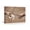 D, variant on XaaKee Canvas Wall Art Prints Two Human Hands Toilet Paper Roll Earthy Brown Wide Roll Modern Canvas Art Wall Print Framed 18x12Inch