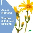 thumbnail image 5 of PROCURE Bruise Remedy Gel + Arnica Montana 2oz., 5 of 7