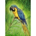 thumbnail image 2 of Betsy Drake TP032 24 x 30 in. Blue Macaw Outdoor Wall Hanging, 2 of 3