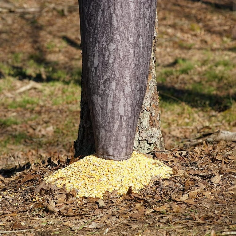 Pine Bark Moultrie D300 Bundle Deer Feeder Automatic Moultrie Feed Station  Pro Gravity Feeder, 80