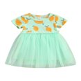 thumbnail image 1 of Infant Baby Girls Summer Dress Cartoon Lemon Print Short Sleeve Tulle A-Line Dress, 1 of 9