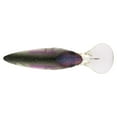 thumbnail image 4 of Berkley Money Badger, 7.25, Northern Lights, 4 of 11