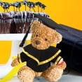 thumbnail image 4 of MOVTOTOP Handmade Plush Bear Graduation Outfit Set With Cap Shawl And Scroll Stuffed Animals Graduation Costume For Graduation Celebrations, 4 of 5