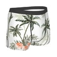 thumbnail image 3 of Balery Vintage Palm Trees Men's Boxer Briefs, Soft and Breathable Cotton Underwear with nylon Waistband-XX-Large, 3 of 9