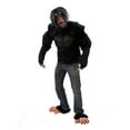 thumbnail image 2 of Chimp, Chimp Kit, 2 of 3