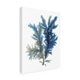 thumbnail image 2 of Stellar Design Studio 'Ocean Bloom I' Canvas Art, 2 of 3