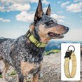 thumbnail image 4 of Adjustable Dog Collar, Strong and Durable Pet Training Leashes for Small, Medium, and Large Dogs, 4 of 5