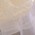 thumbnail image 6 of Baby Girl Ball Gown Party Dress Vintage Lace Princess Party Wedding Tutus Tulle Dresses Baptism Formal Flower Dresses,0-3Y, 6 of 7