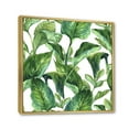 thumbnail image 3 of Designart 'Foliage Of Tropical Leaves On White' Tropical Framed Canvas Wall Art Print, 3 of 5