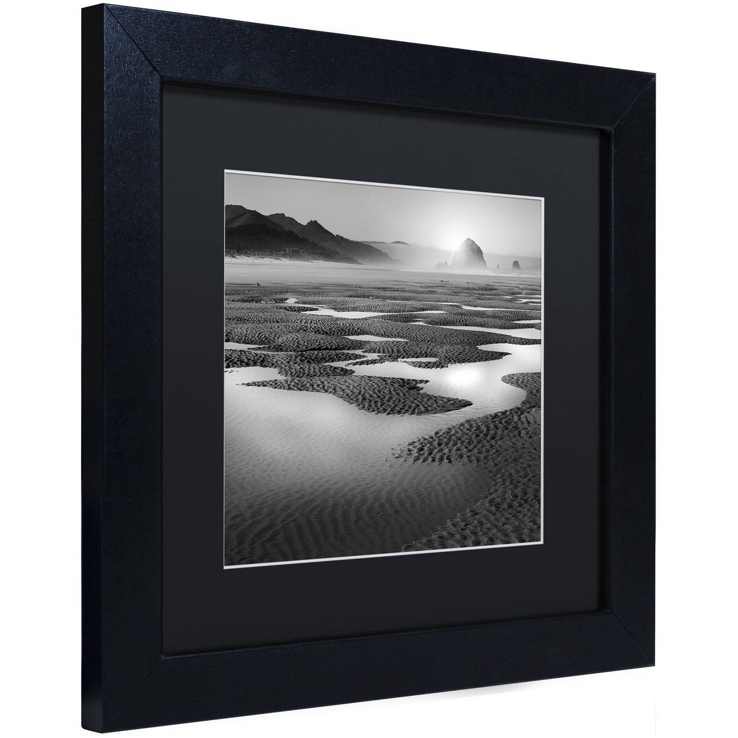 Trademark Fine Art "Path" Canvas Art by Moises Levy Black Matte, Black Frame