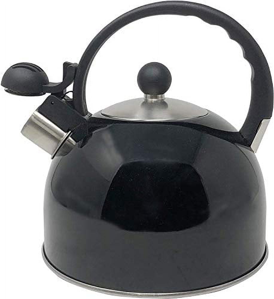 OLD MOUNTAIN Cast Iron Tea Pot Kettle Swivel Lid Wire Handle BLACK Heavy