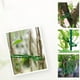 thumbnail image 5 of Xihbxyly Bridas de Jardín, Correas Flexibles para Sujetar Plantas, Longitudes Ajustables para Mayor Estabilidad, Suaves Pero Resistentes para Una Sujeción Segura, Multiusos para Casa, Oficina y Jardí, 5 of 7