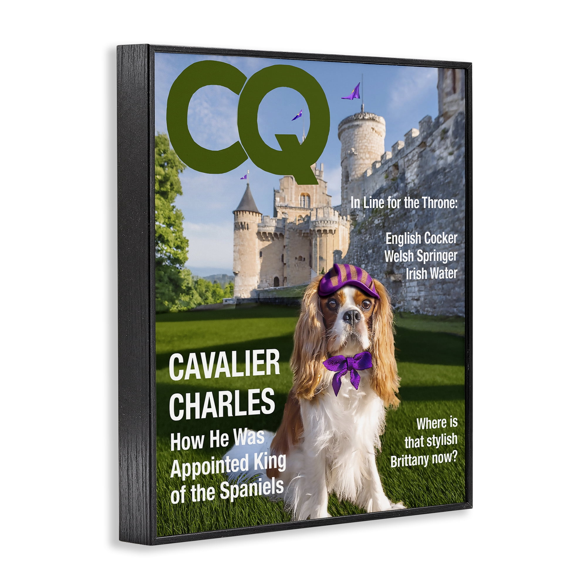 Stupell Industries Royal Cavalier Magazine Black Framed Giclee Art, design by Grotto Studios