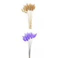 thumbnail image 1 of 2x Secas Naturales Hierba Decoración de Tallos de Bricolaje Gloria hierba de pampa seca, 1 of 9