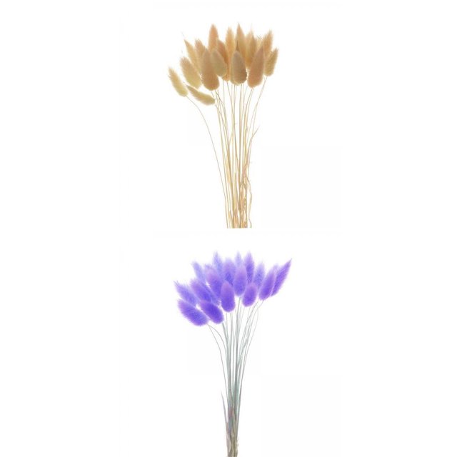 2x Secas Naturales Hierba Decoración de Tallos de Bricolaje Gloria hierba de pampa seca