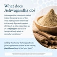 thumbnail image 5 of Youtheory Ashwagandha - With Organic KSM-66 Ashwagandha - Herbal Blend to Support Stress Relief & Energy Levels* - Helps Support Mood* - 60 Vegetarian Capsules (30-Day Supply), 5 of 9