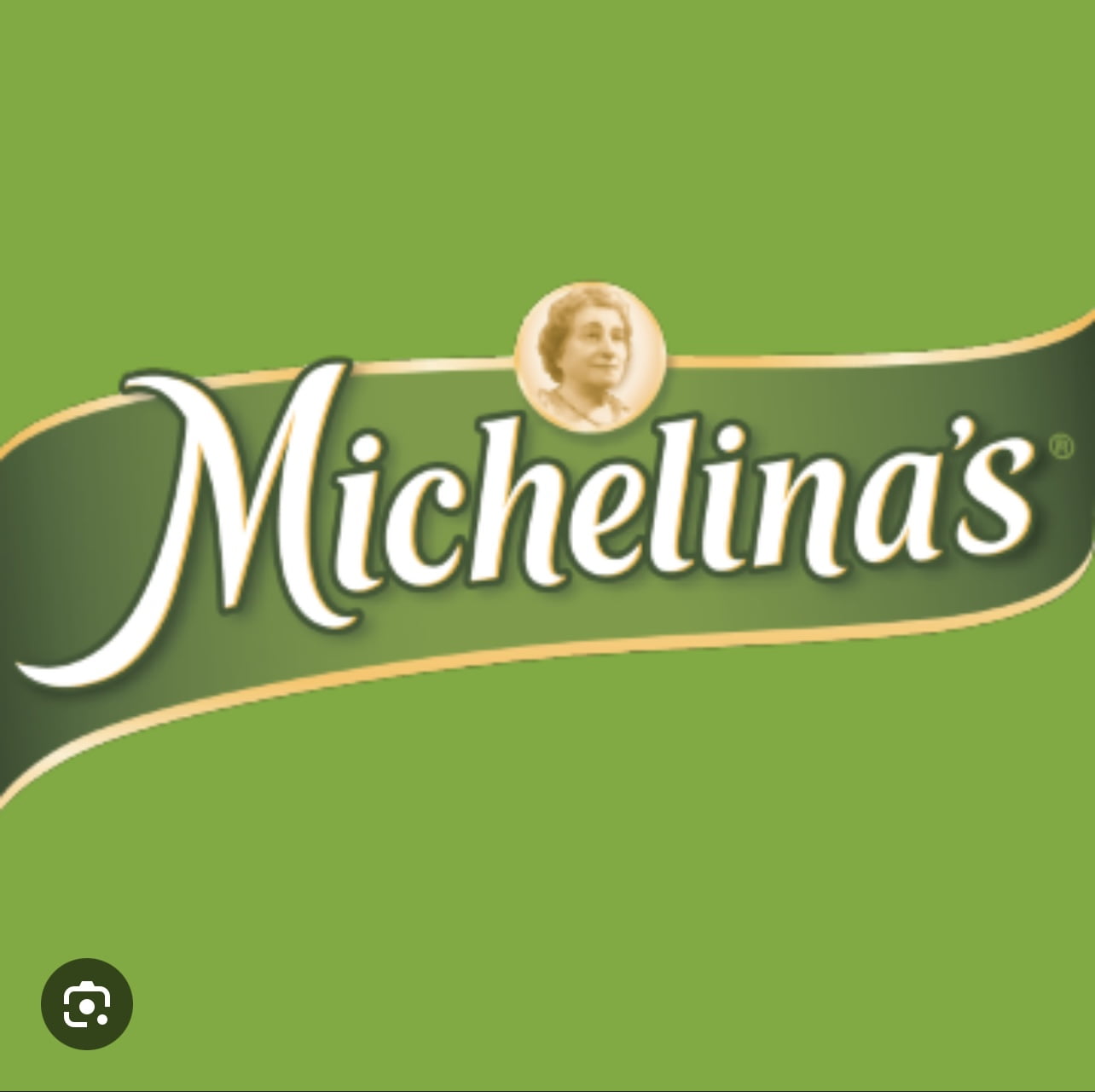 Michelina's Entree Authentic Lasagna with Meat Sauce 241g Box Single Frozen Packaged Meal
