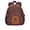 Brown, variant on Cute Cartoon Backpack for School, Bookbag with Padded Straps and Multiple Pockets
