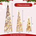 thumbnail image 3 of Costway 32" 24" 16" Set of 3 Lighted Rattan Cone Trees with LED Lights and Metal Frame, 3 of 9
