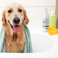 thumbnail image 5 of NEXDERMA Veterinary Formulated Hot Spot & Itch Relief Medicated Pet Shampoo for Dogs, Cats & Horses – Paraben, Dye & Soap Free – Relieves Allergies & Pain Due to Hot Spots & Skin Irritations - 16oz, 5 of 9