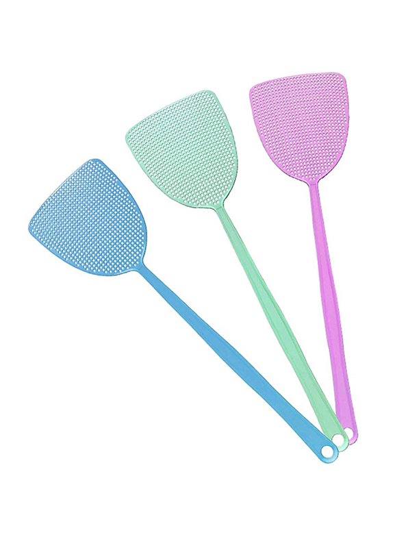 Fly Swatter in Pest Control