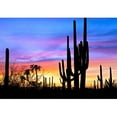 thumbnail image 2 of wall26 - Saguaro Silhouetten in Sonoran Desert Sunset Lit Sky - Removable Wall Mural | Self-Adhesive Large Wallpaper - 66x96 inches, 2 of 6