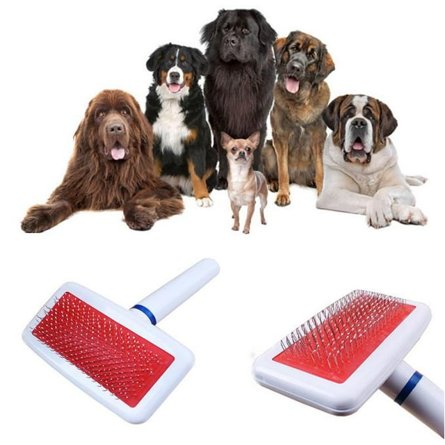 Daisyyozoid Outil de Toilettage Anti-Statique pour Chiens et Chats Brosse à Fourrure Aiguille Râteau