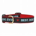 thumbnail image 1 of Up Country Best Dog Ever Collar (1" Width, Large (15"-21")), 1 of 1