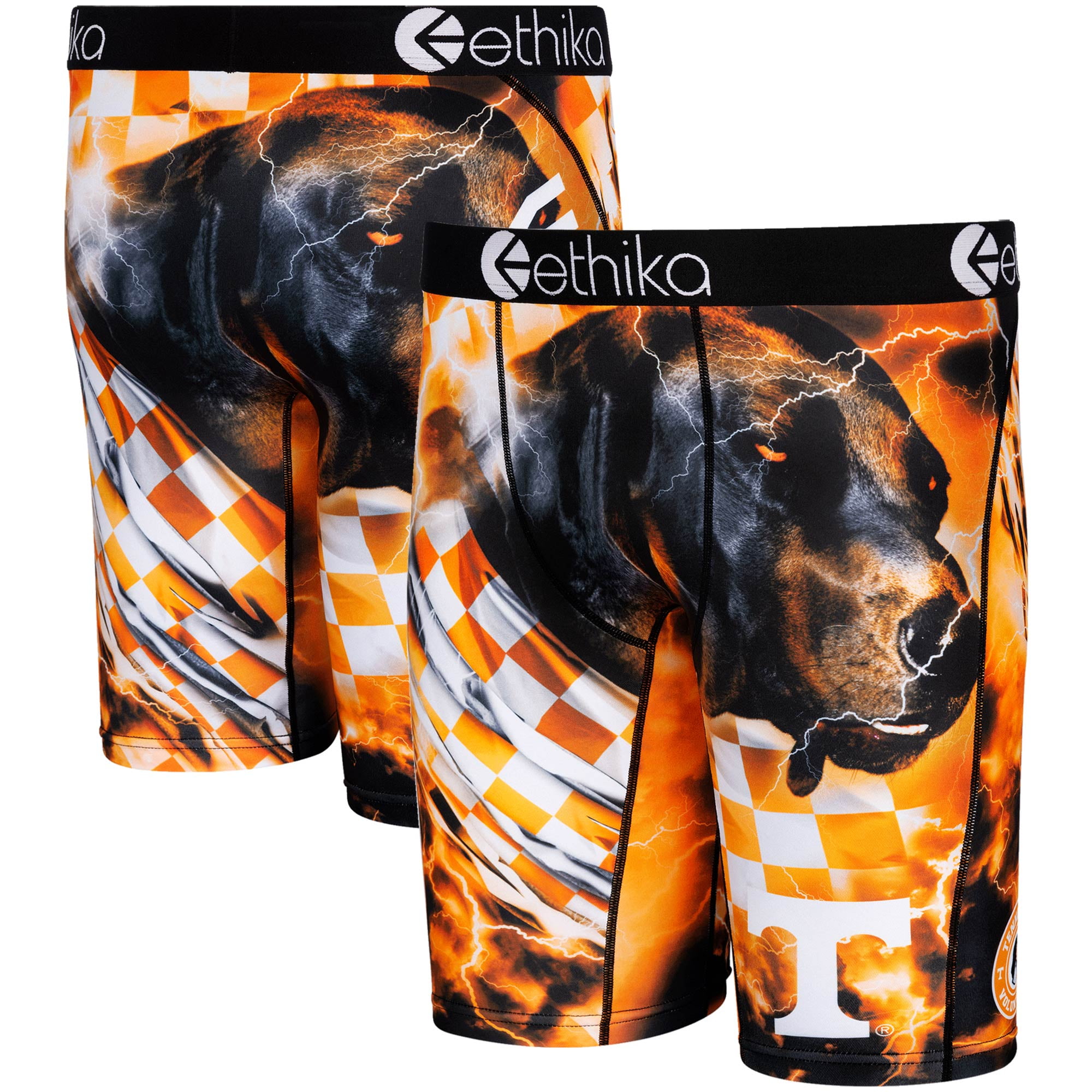 ethika boys underwear