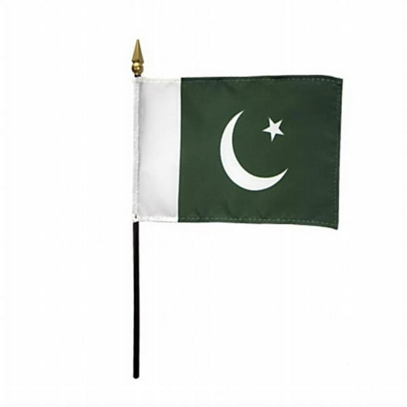 Annin Flagmakers 210106 4 x 6 in. Eb Pakistan Mounted - 12 Pack