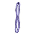 thumbnail image 1 of Correa de aro aéreo Lyra para danza, acrobacia aérea, pilates, correa de lazo para la mano Violeta, 1 of 8