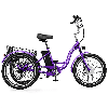 Rose Purple