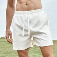 thumbnail image 2 of Lovskoo Shorts for Men Casual Trendy Solid Color Elastic Waist Shorts Splicing Drawstring Shorts White, 2 of 5