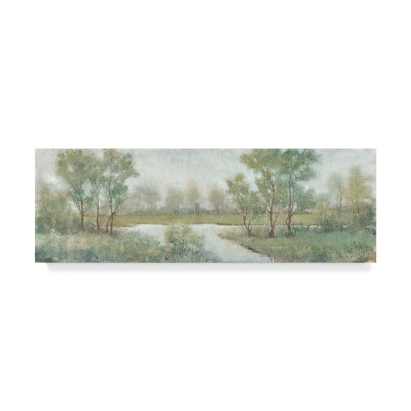 Trademark Fine Art 'Field And Stream' Canvas Art by Tim OToole