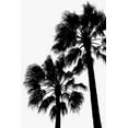 thumbnail image 2 of Artographie Studio 23x32 White Modern Wood Framed Museum Art Print Titled - Palm Contrast, 2 of 4