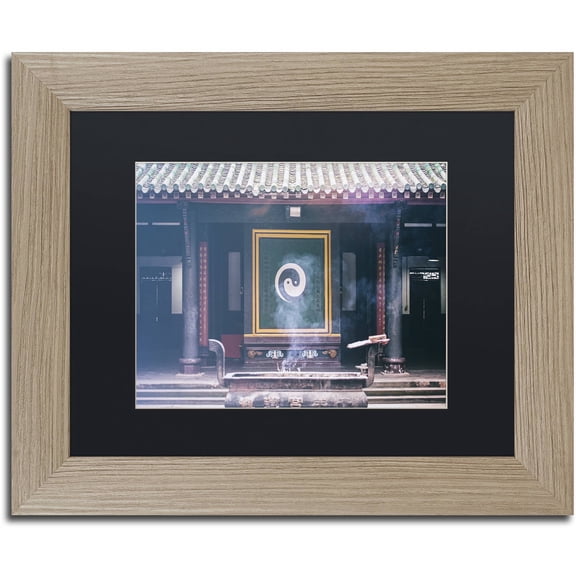 Trademark Fine Art "Yin Yang" Canvas Art by Philippe Hugonnard, Black Matte, Birch Frame