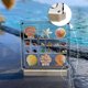 thumbnail image 2 of Acrylic Magnetic Seashell Display Box, Seashell Collection Box and Jewellery Display Box, Collection of Seashells for Display (Blend grids, Square), T, 2 of 2
