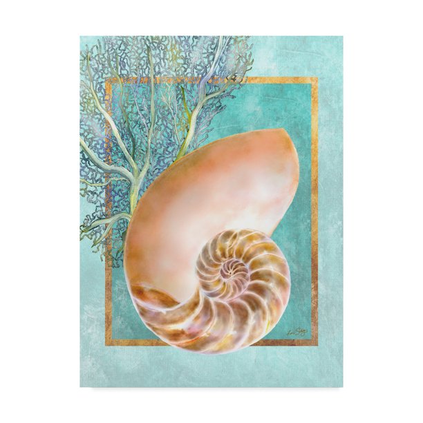 Trademark Fine Art Nautilus Shell And Coral Canvas Art By Lori Schory Walmart Com Walmart Com