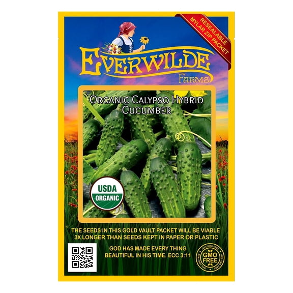 Everwilde Farms - 50 Organic Calypso F1 Hybrid Cucumber Seeds - Gold Vault Jumbo Bulk Seed Packet