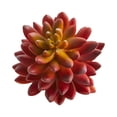 thumbnail image 2 of Nearly Natural 7.5in. Succulent Artificial Plant (Set of 6), Orange, 2 of 2