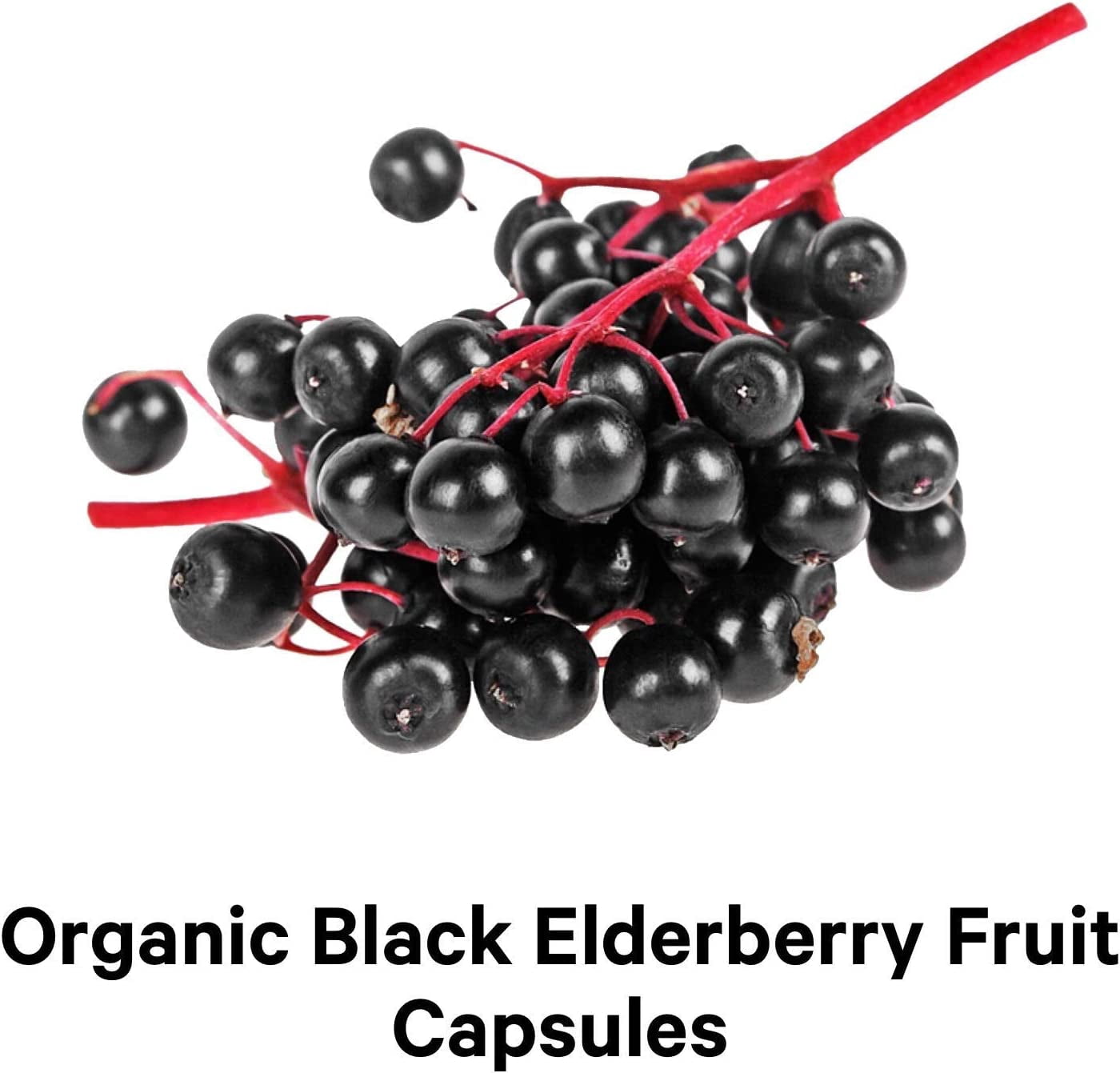 Codeage Organic Black Elderberry Blend, Vitamin C, Vegan D3 5000 IU, Zinc, Sambucus Berries Flavonoid, 90 ct