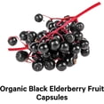 thumbnail image 5 of Codeage Organic Black Elderberry Blend, Vitamin C, Vegan D3 5000 IU, Zinc, Sambucus Berries Flavonoid, 90 ct, 5 of 10