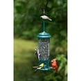 Squirrel Buster Legacy Squirrelproof Bird Feeder with 4 Metal Perches, 2.6pound Seed Capacity