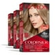 thumbnail image 3 of Tinte para cabello Revlon Colorsilk tono 70 rubio medio cenizo, 3 of 5