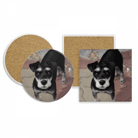 

Black Dog Pet Animal Cute Picture Coaster Cup Mug Holder Absorbent Stone Cork Base Set