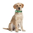 thumbnail image 4 of Dublin Dog Original No Stink Strong Waterproof Collar for Medium, Large Dogs, 4 of 6