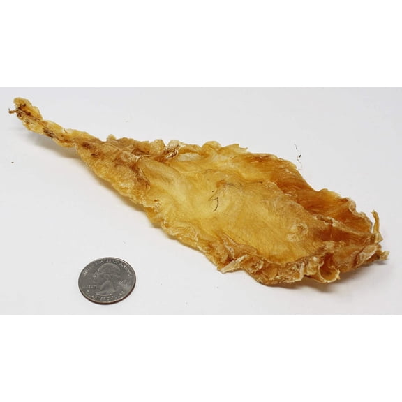 DABC OAK LAND Rich in Collagen Skin Beauty Cuisine Tonic Dried New Zealand Cod Fish Maw Hua Jiao Large 8oz bag