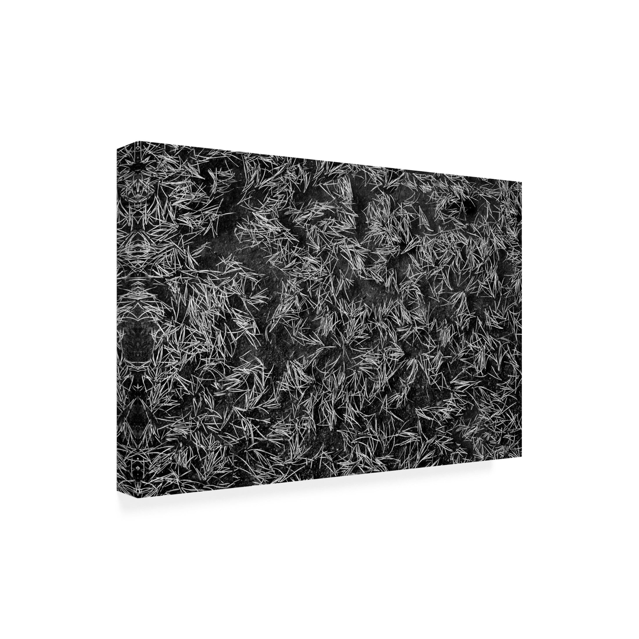 Canvas Wall Art - Dennis Frates 'Close Up Of Pine Needles In Watter' Wall Art for Living Room, Bedroom, or Office Décor by Trademark Fine Art - 19 x 12 Inches